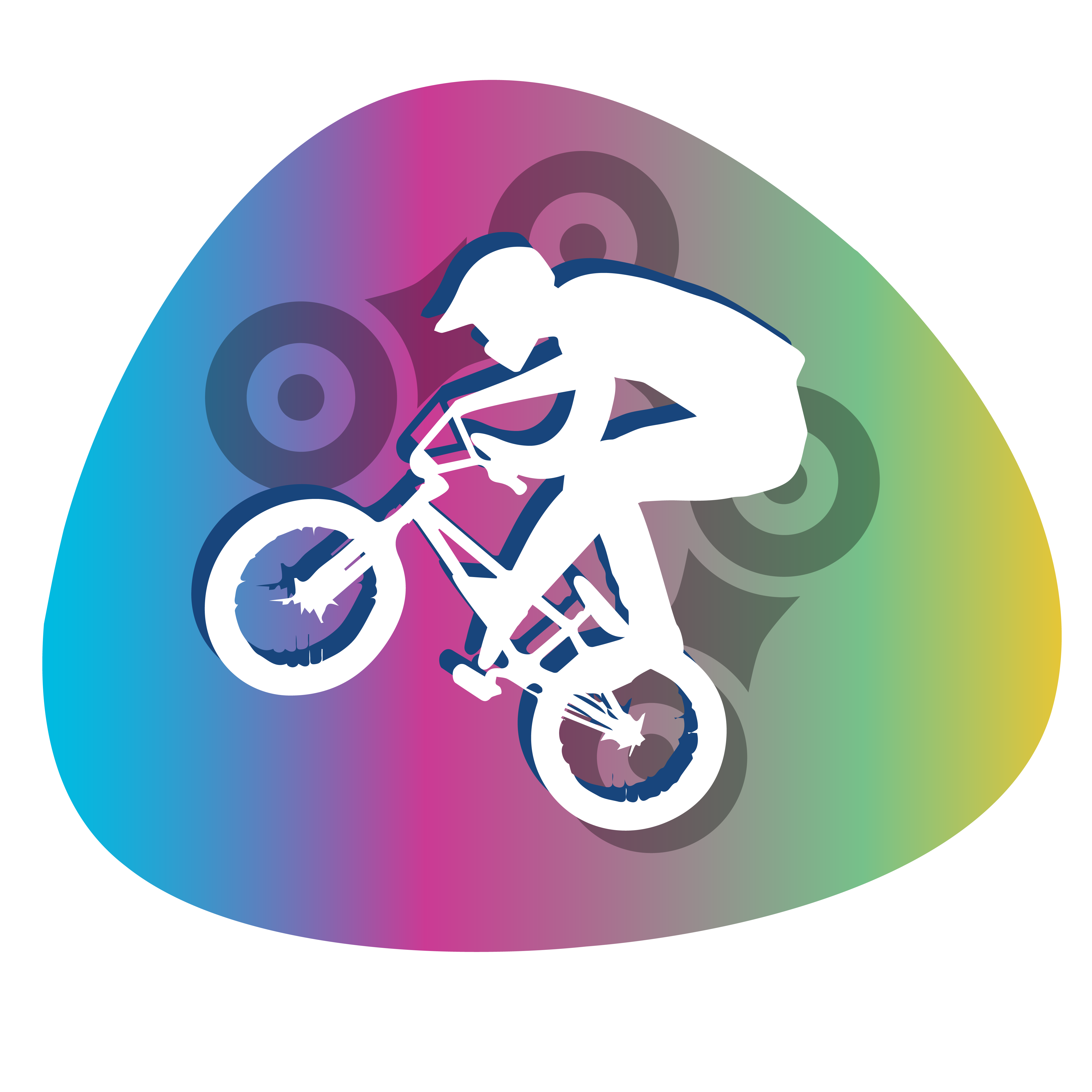 Bicicross : 