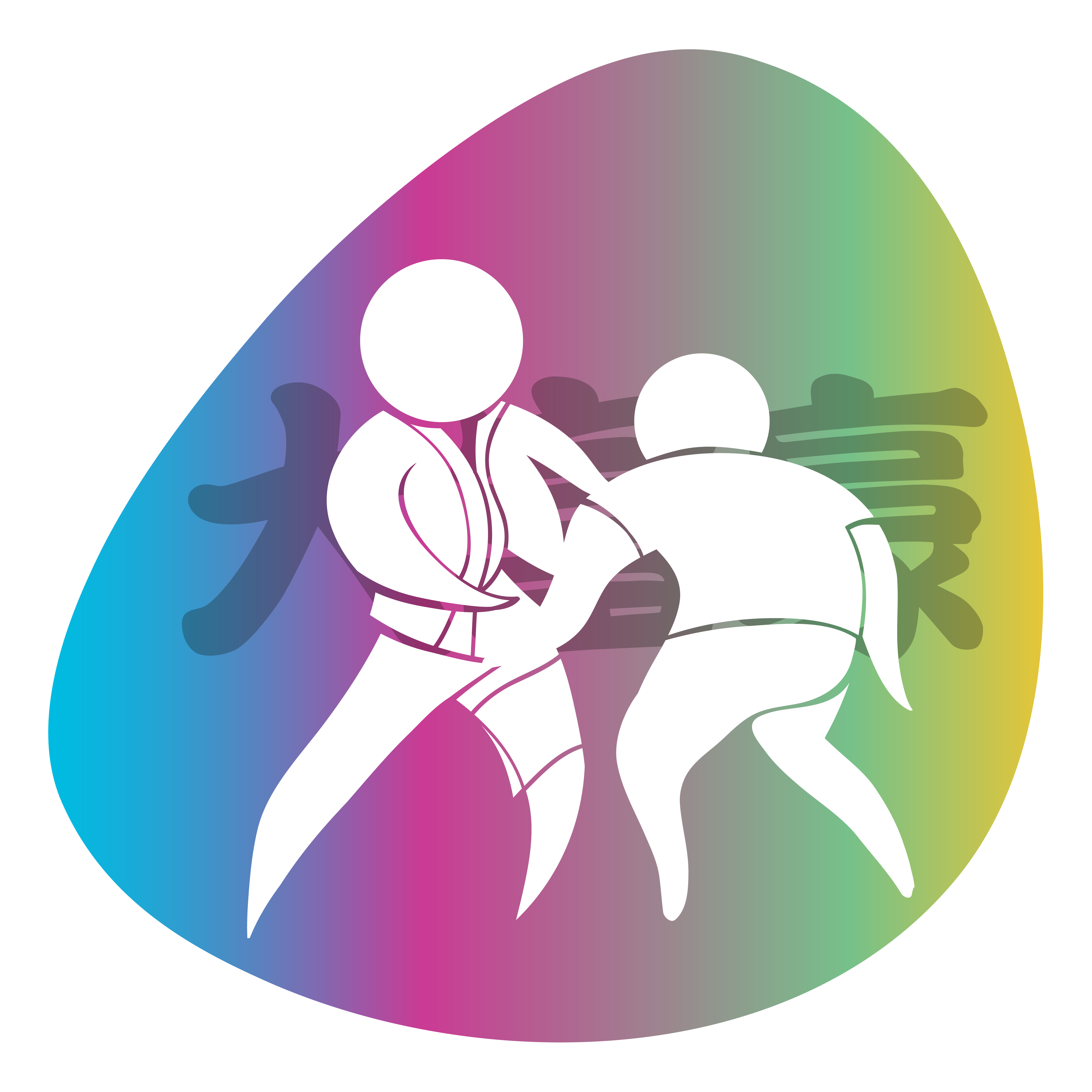 Hapkido : 