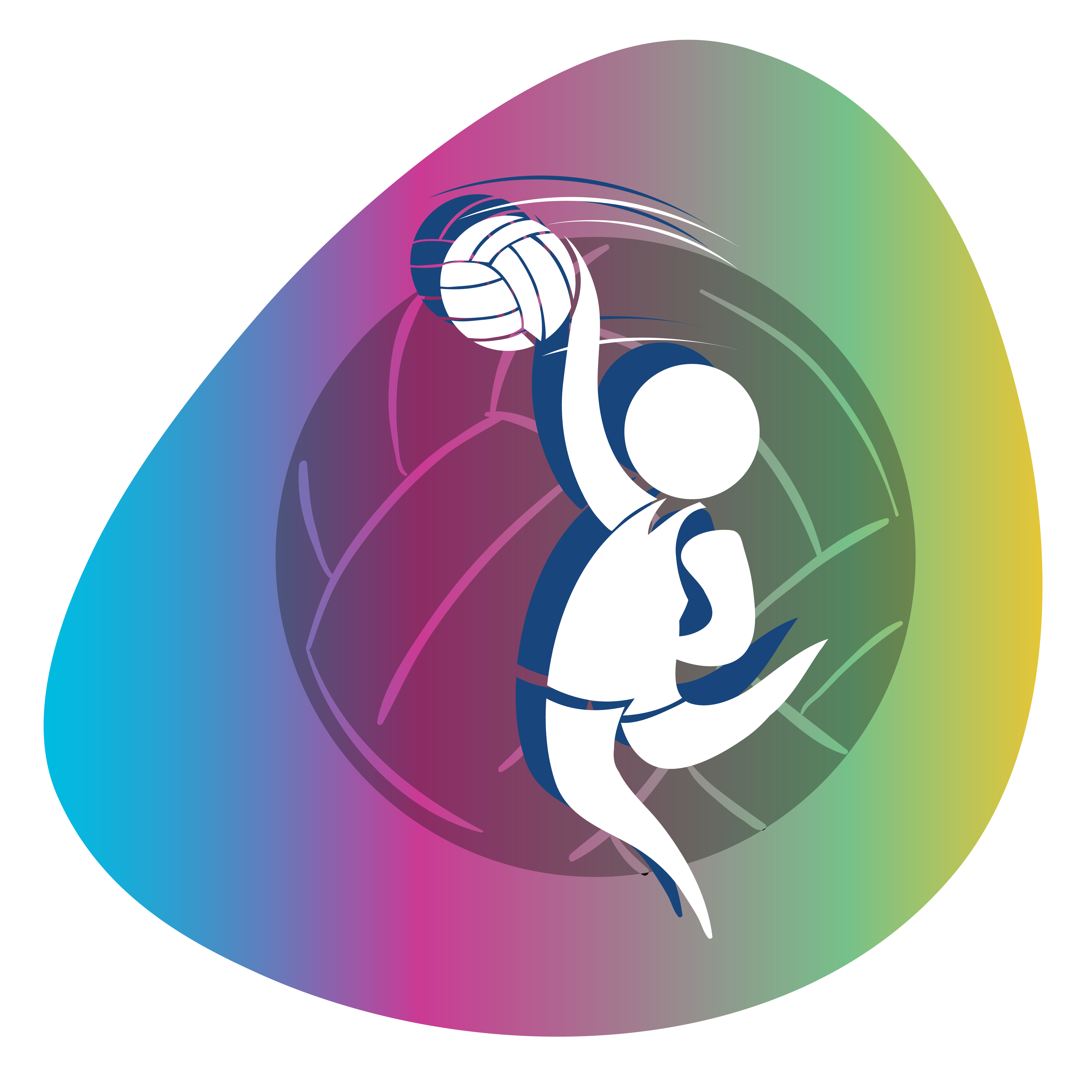 Voleibol : 