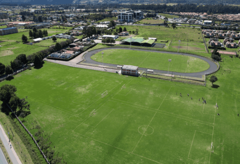 Tigre moyano (1)